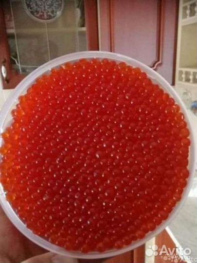 Красная икра август 2023г