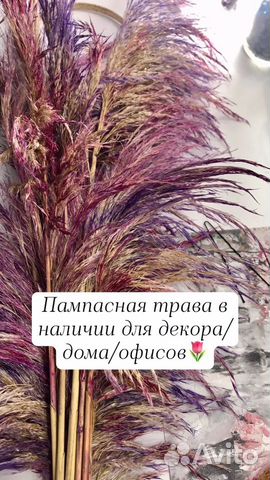Пампасная трава для декора купить в Калининграде | Товары для дома и ...