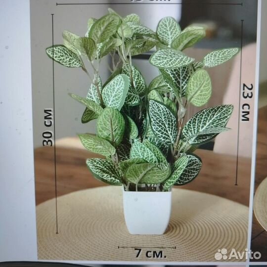 Искусственные цветы в горшке фиттония для декора