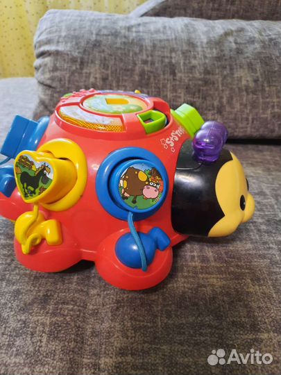 Божья коровка