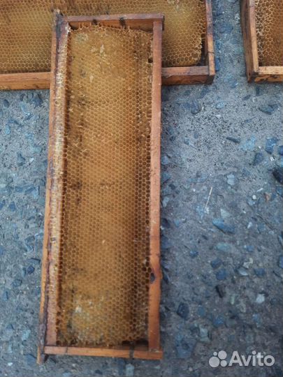 Рамки с сушью