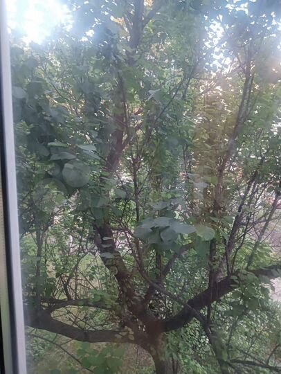 1-к. квартира, 27 м², 2/5 эт.