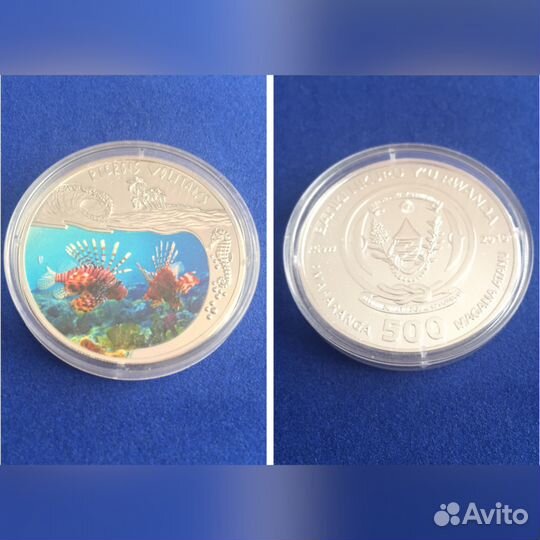 Крылатка - зебра, Руанда, 500 франков 2010 г