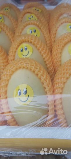 Манго свежее2600