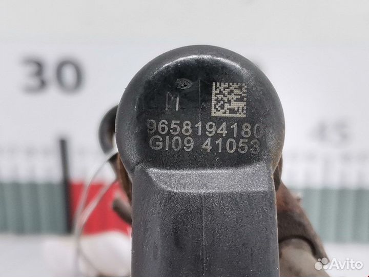 Форсунка для Peugeot-Citroen C4 Picasso 1