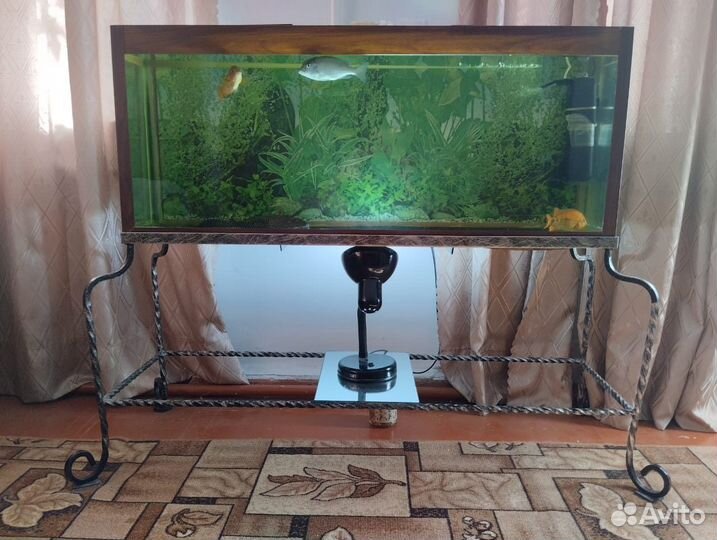 Аквариум с рыбками