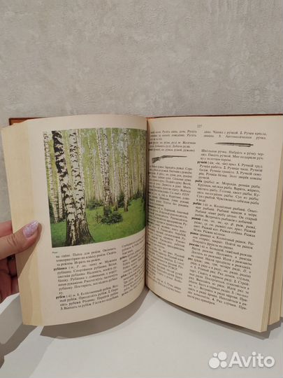 Словарь СССР 4000 слов русского языка