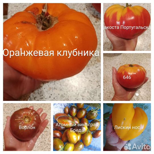 Семена томатов