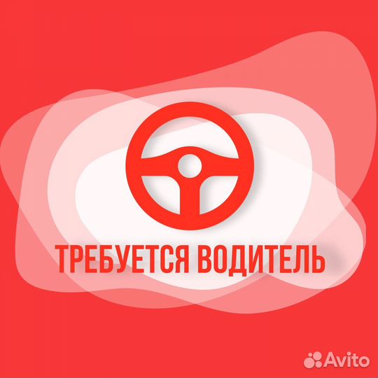 Водитель в компанию