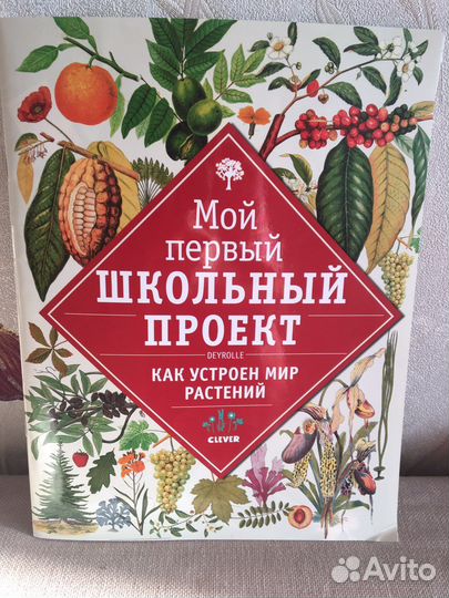 «Мой первый школьный проект» Clever