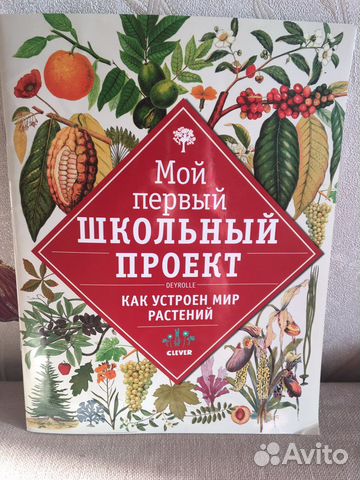 «Мой первый школьный проект» Clever