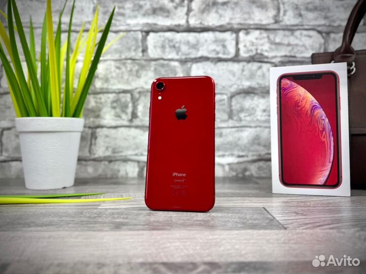 iPhone Xr, 128 ГБ