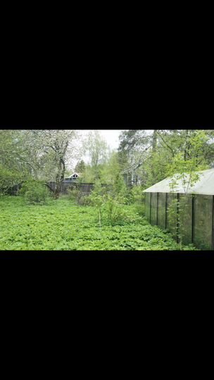 Дача 50 м² на участке 8,7 сот.