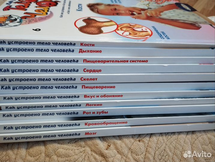 Как устроено тело человека