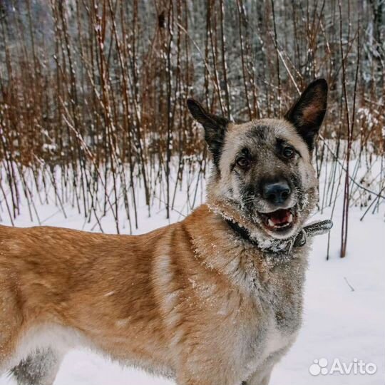 Ник из приюта Щербинка