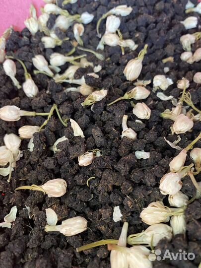 Иван-чай крупнолистовой огромный выбор добавок