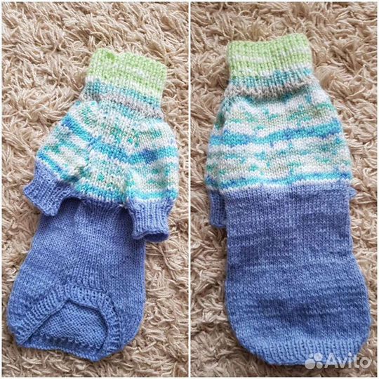 Одежда для собак