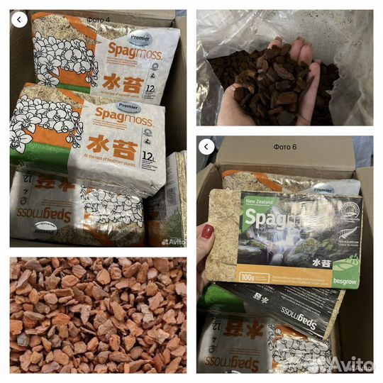 Кора Пинии (как орхиата) и мох спагмосс