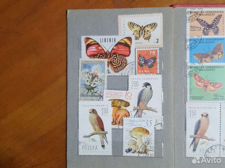 Почтовые марки грибы, бабочки