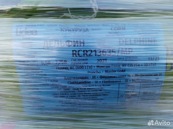 Семена кукурузы Дельфин