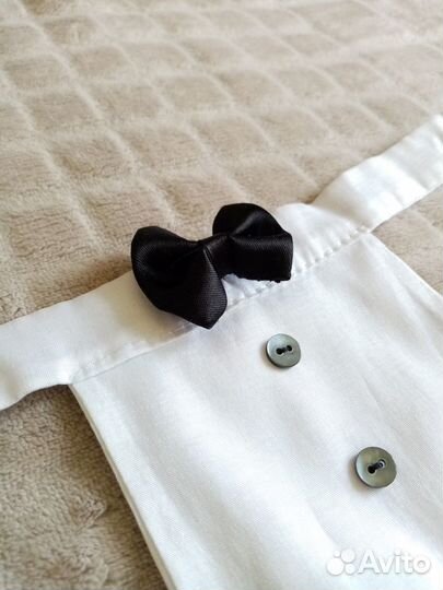 Костюм для собаки