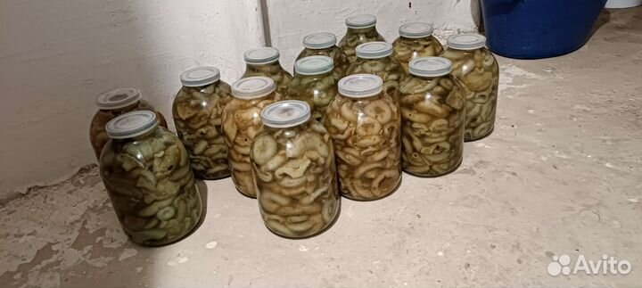 Грибы грузди (соленые)