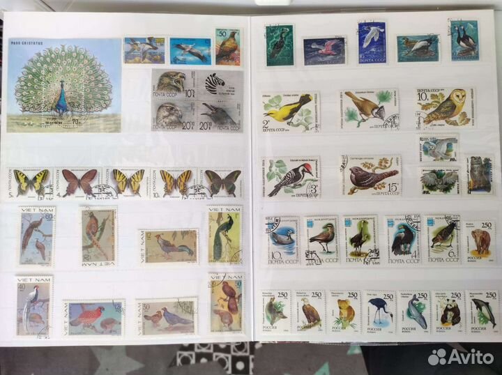 Марки, тематика фауна