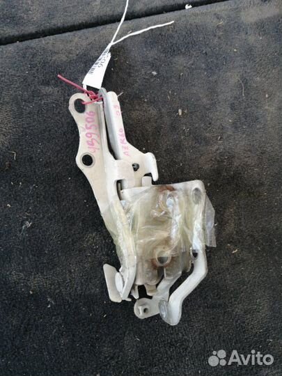 Петля капота Toyota Noah AZR60 2003