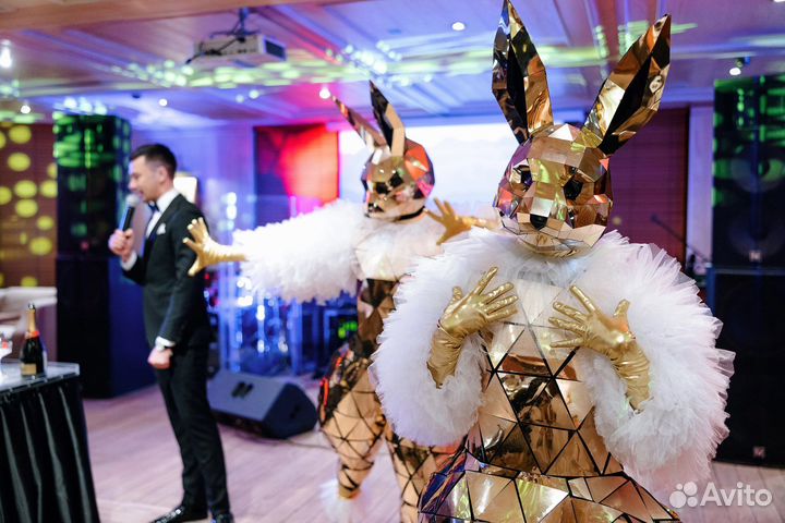 Зеркальный заяц