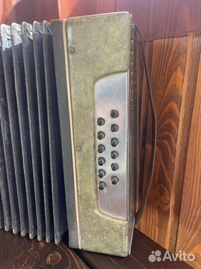 Однорядная гармонь