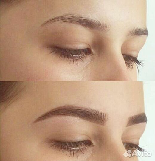 Курсы бровистов