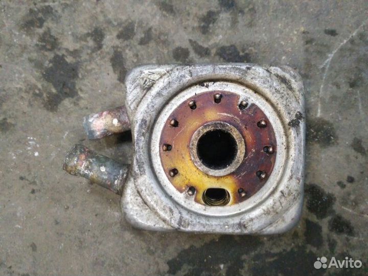 Радиатор масляный Volkswagen Passat B5