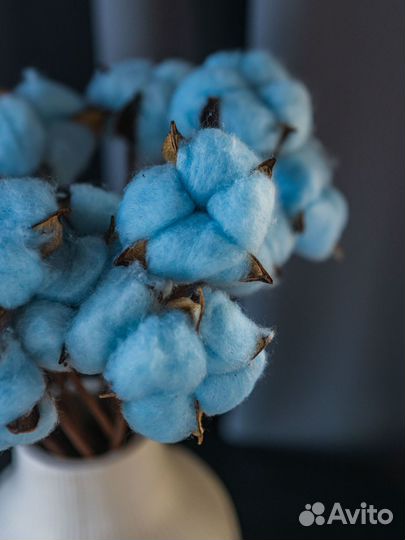 Букет хлопок