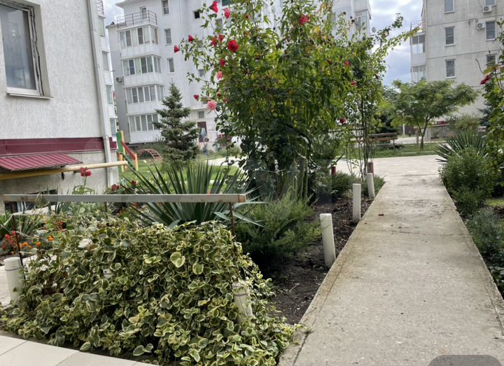 3-к. квартира, 79,2 м², 6/6 эт.