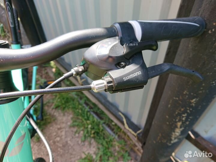 Giant Alight 3 DD 2019