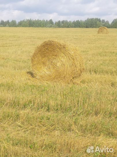 Солома большие рулоны