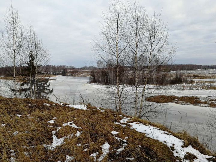 Участок 5,5 сот. (ИЖС)