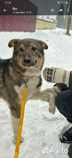 В поиске самой доброй семьи