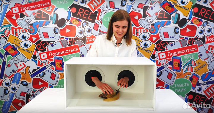 Пенная вечеринка, Аниматоры, Бумажное, Мыльное Шоу