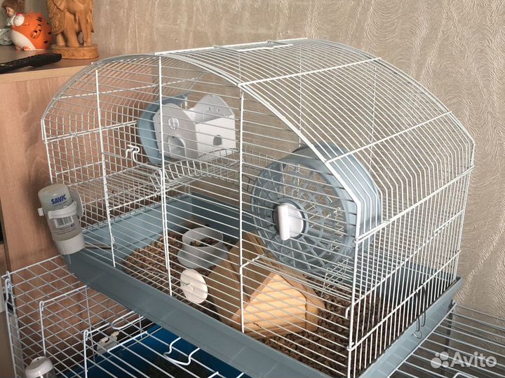 Клетка с сирийским хомяком