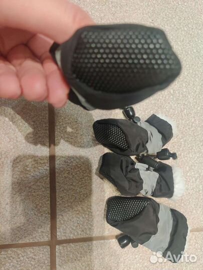 Обувь носочки для собаки