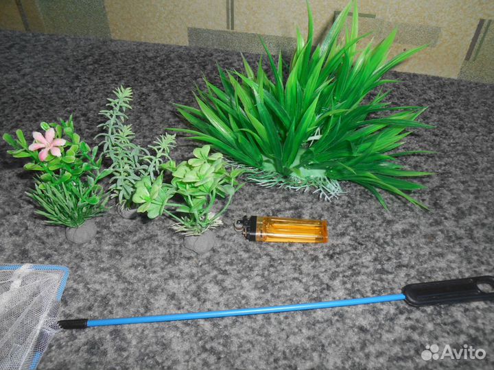 Меченосцы рыбки,грунт,ряска,грот,ампулярии