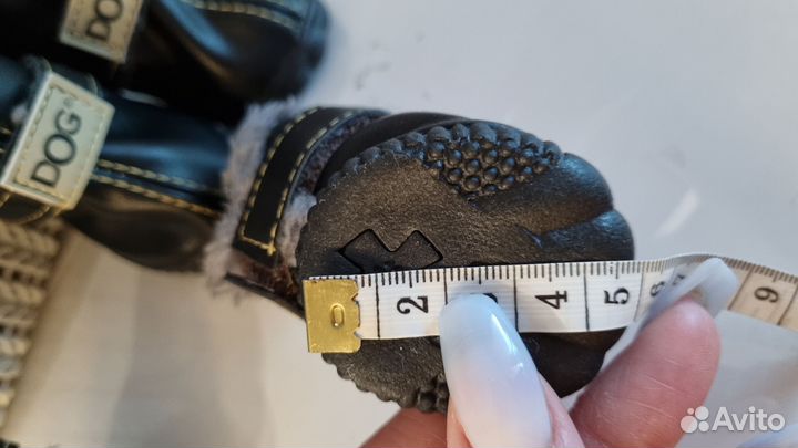 Вещи для маленьких собак