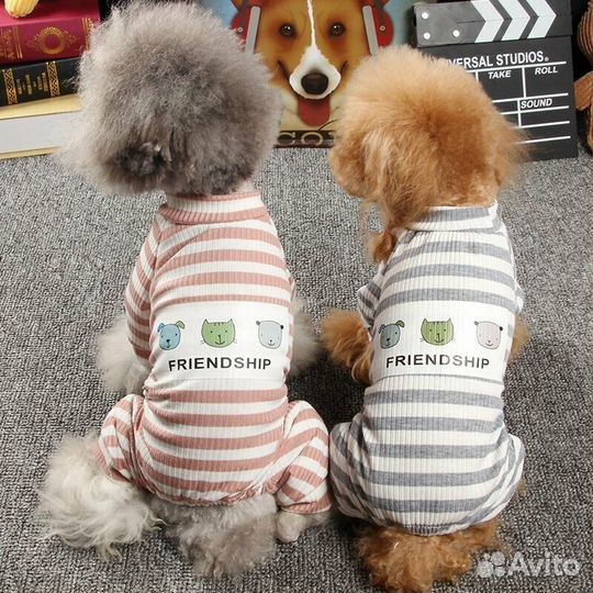 Одежда для маленьких собак