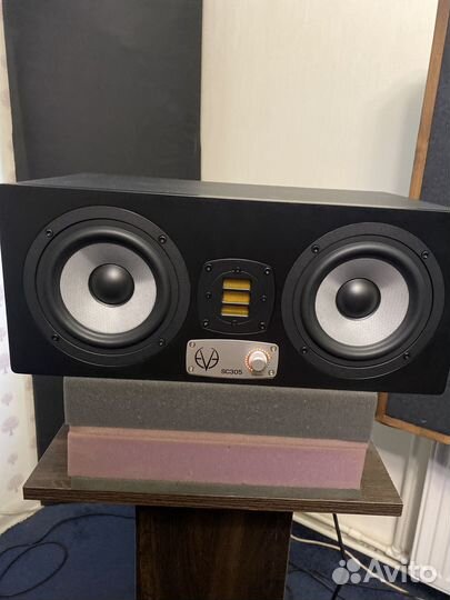 Студийные мониторы EVE audio SC305