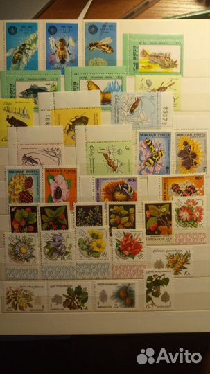 Марки Фауна и Флора СССР и Зарубежные серии 1958-1
