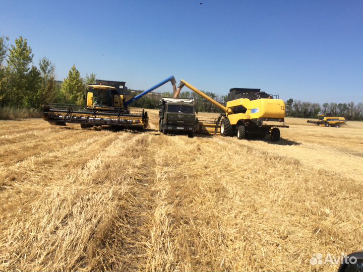 Услуги зернововозов