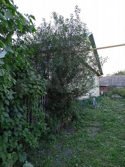 Дом 51,8 м² на участке 33,1 сот.