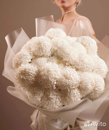 Одноголовая хризантема с беспл. доставкой