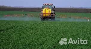 Бомба, вдг (гербицид)